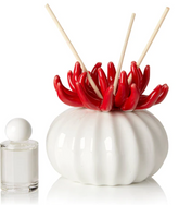 Debora Carlucci Coral Reed Diffuser W/ Frosted Porcelain Bottom